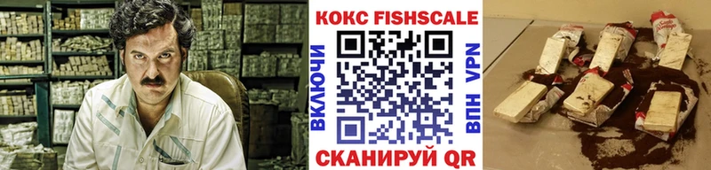 где можно купить   Шебекино  COCAIN Fish Scale 
