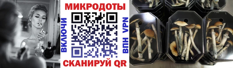 Галлюциногенные грибы мухоморы ссылка на мегу маркетплейс Шебекино купить наркотик