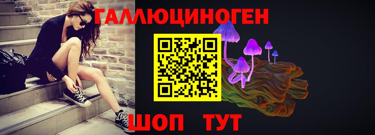 Псилоцибиновые грибы MAGIC MUSHROOMS  Вход с VPN  Псилоцибиновые грибы Cubensis  Шебекино 